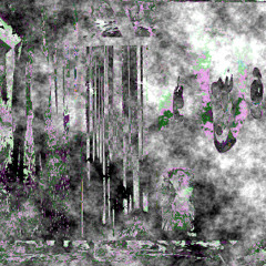 petrichor