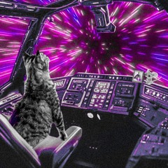 Homeward bound at warp speed