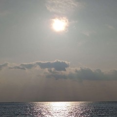 dawn
