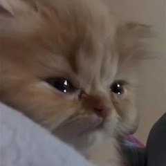 she never cries