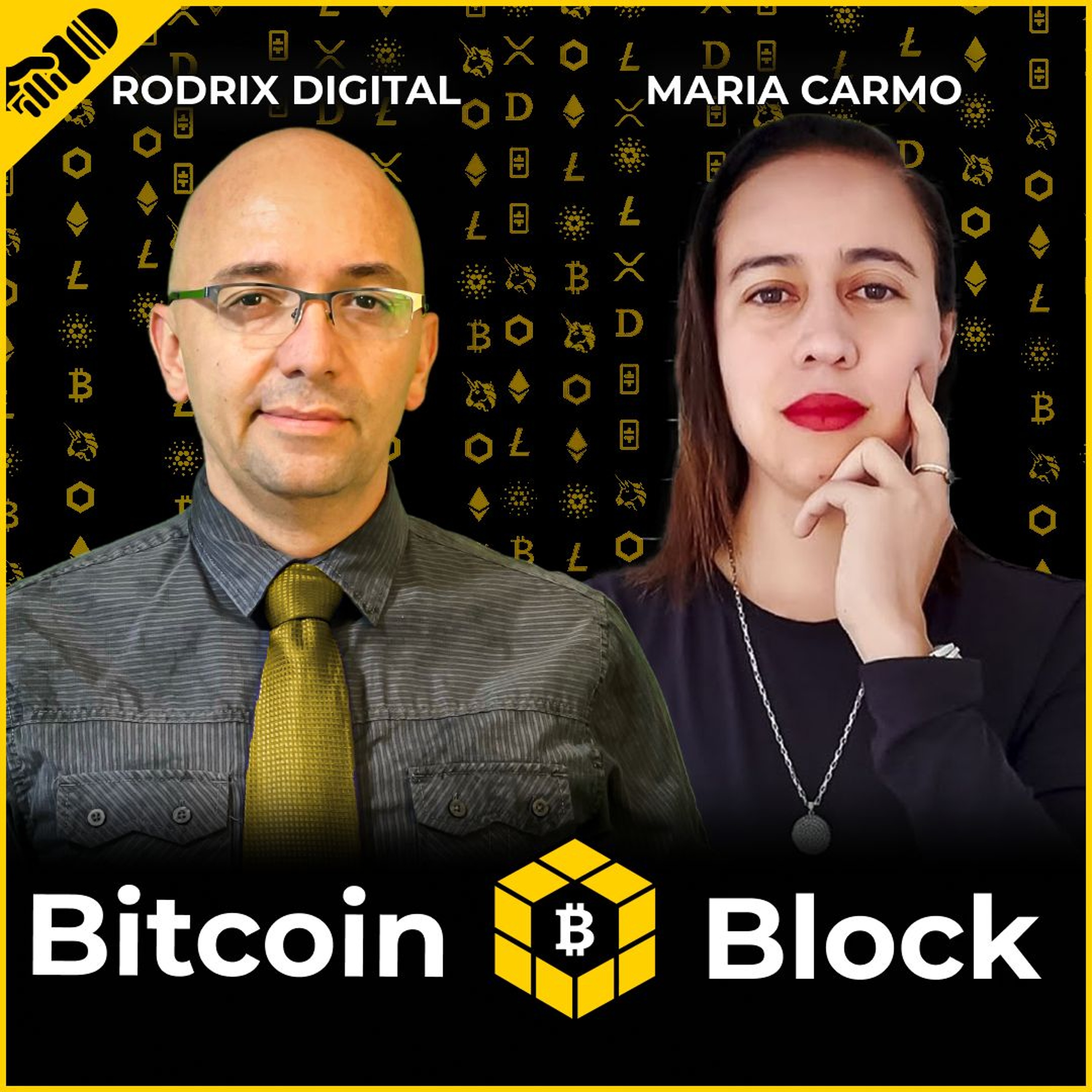 Como trabalhar por CARDANO - Fundos, Apresentação de proposta e Votação