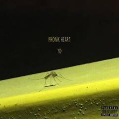 phonk heart