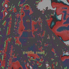 nettle seed, the serial rendition - with nic and stonerjazz