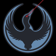 cops and robbers with real guns