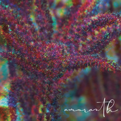 Amaranth - Light (180 bpm) OUT NOW ON on Kamakhya Records (Evolving EP Series #3)