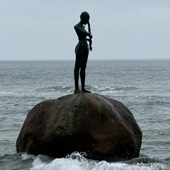 Flunge