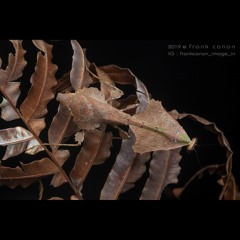 HK_Calm-&-Steady_tracks_278