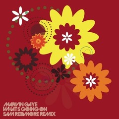 What's Going On (Sam Redmore Remix)