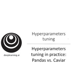 Listen DeepLearning.AI: Hyperparameters Tuning in Practice: Pandas vs. Caviar