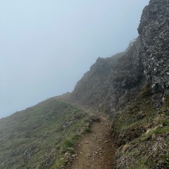 boomboy XL (w/ will)