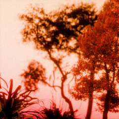 Oliver River - you've changed (Radio Mix)