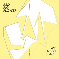 PREMIERE : Red Pig Flower - We Need Space (Instrumental) (Adam's Bite)