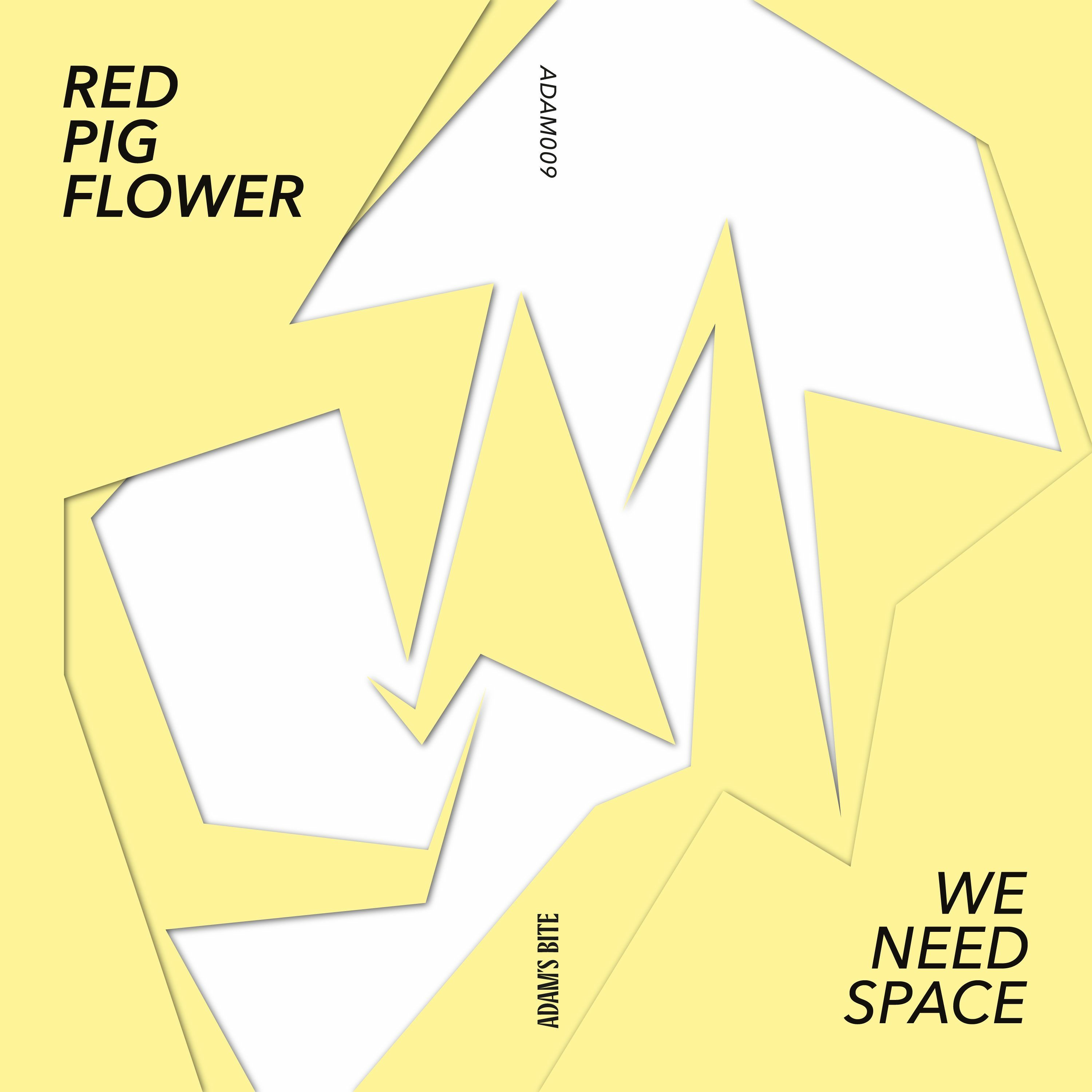 PREMIERE : Red Pig Flower - We Need Space (Instrumental) (Adam's Bite) episode artwork