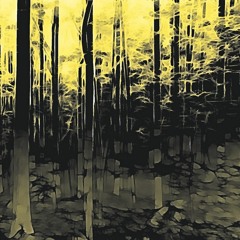 Mani - Secret Forest