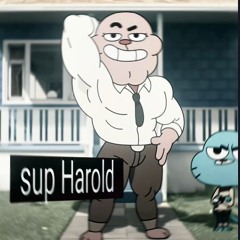 Work Hard Play Hard Hardstyle Slowed (Tiktok Version)