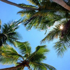 Happy Mixtape May 22