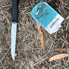 reincoltation unreleased sped up 2025 mixx