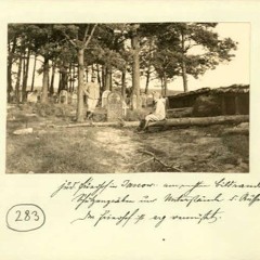 Jewish cemetery, Janów, 22.09.2024, 17.00