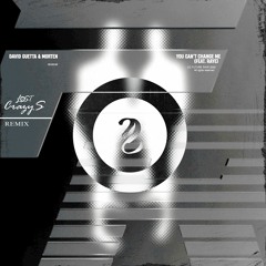 You Can't Change Me, David Guetta ft. Raye (Lost Crazys Remix)