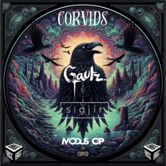 Corvids