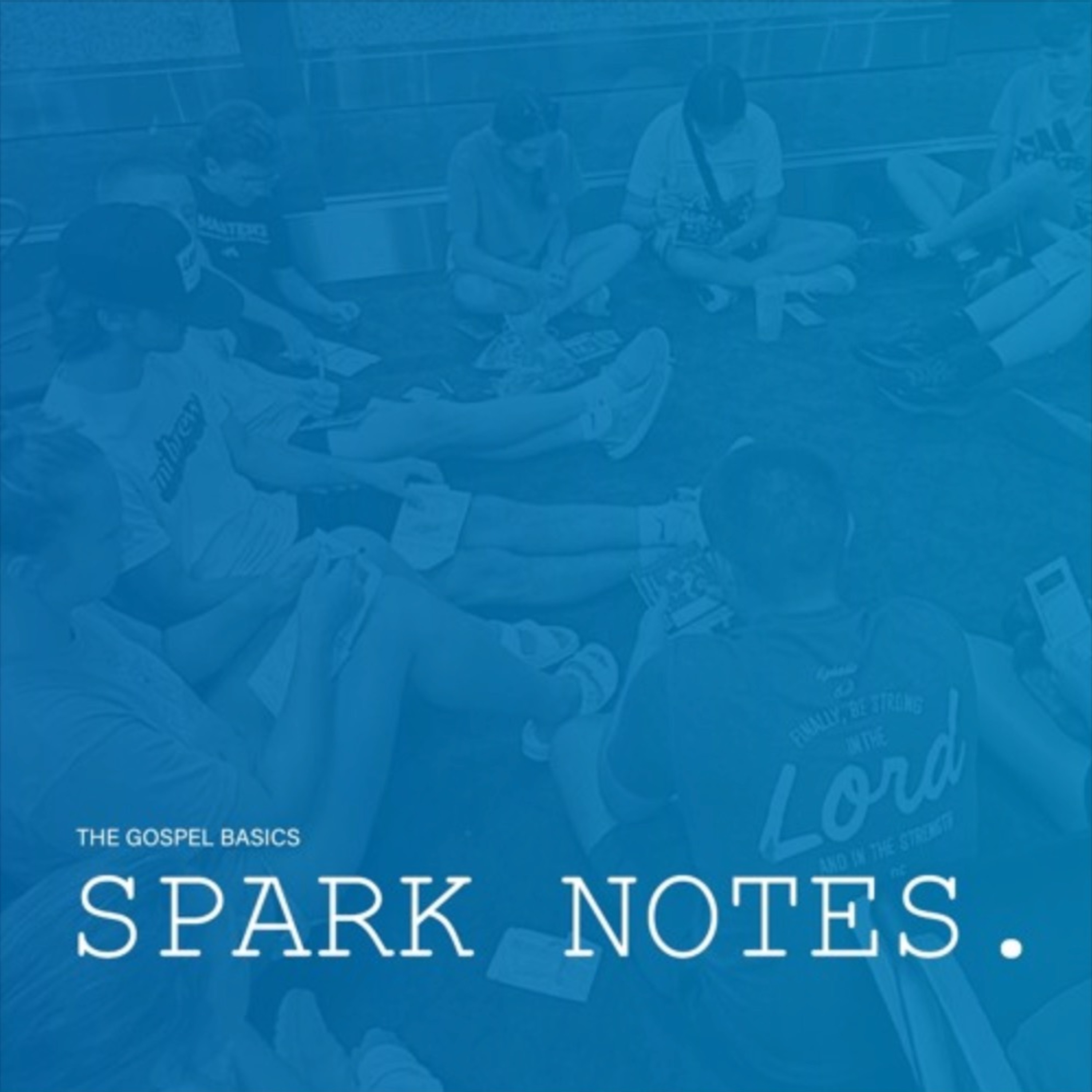 Spark Notes - Now What? episode artwork