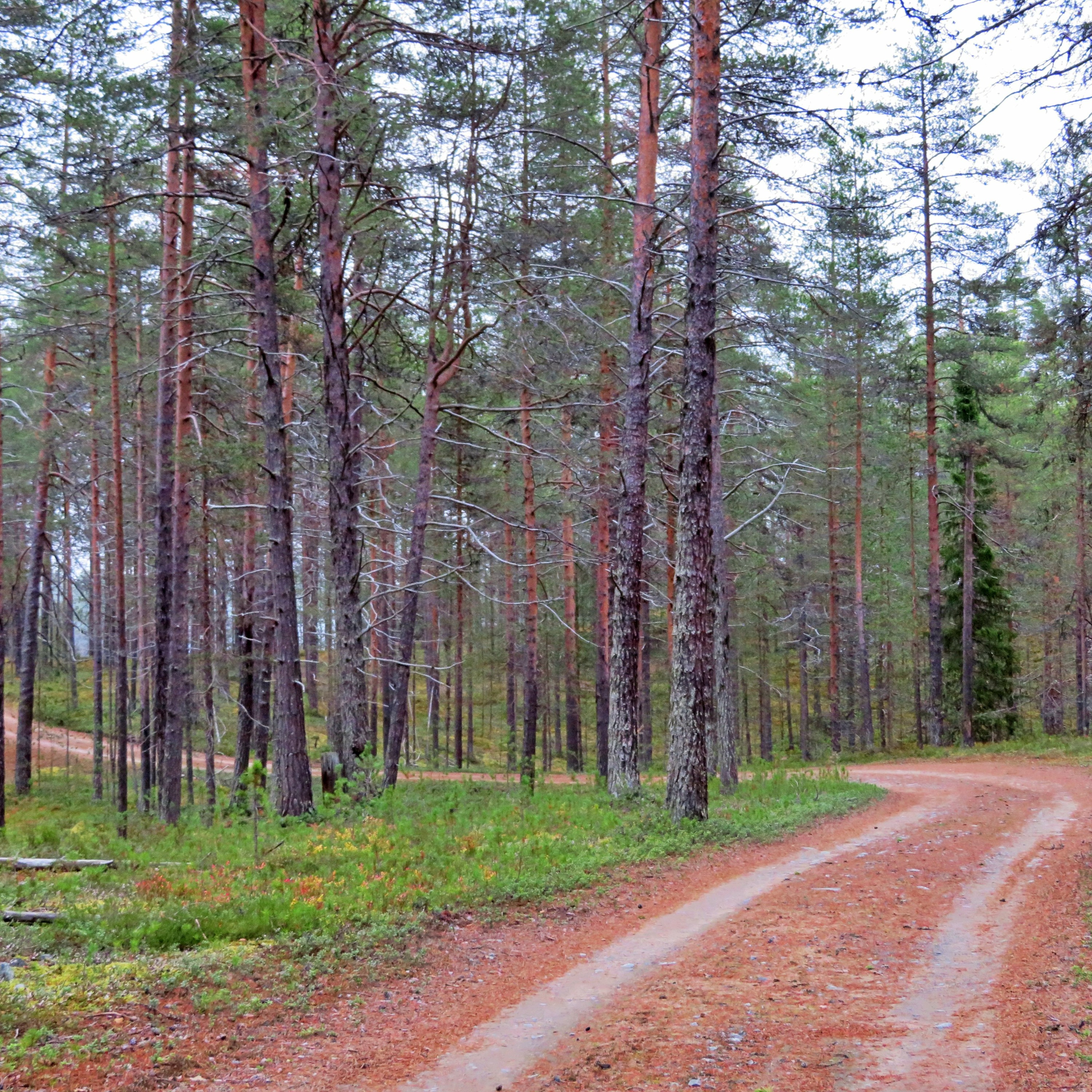 Jukka Kokkonen