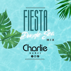 FIESTA DONDE SEA #1 - DJ CHARLIE NUÑEZ