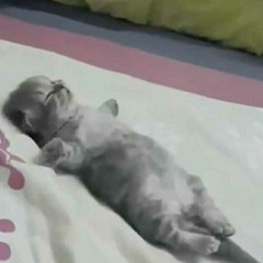 feel fine (voice memo)