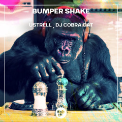 Bumper Shake [Groove People Records]