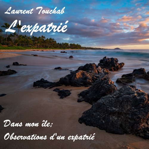 Dans mon île ; Observations d'un expatrié