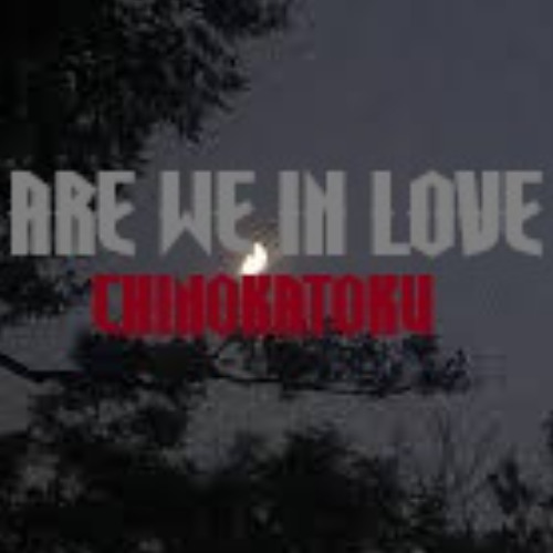 Are We In Love (Prod. fukkfaith)
