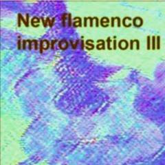 New Flamenco Improvisation III (For two guitar)