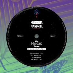 PREMIERE: The Magic Track - Benin Life [Furious Mandrill]
