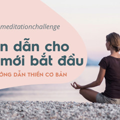 Thử thách 10 ngày thiền - Ngày 1 - Hướng dẫn thiền cho người mới bắt đầu