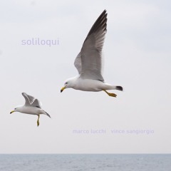 Marco Lucchi & Vince Sangiorgio - Soliloqui