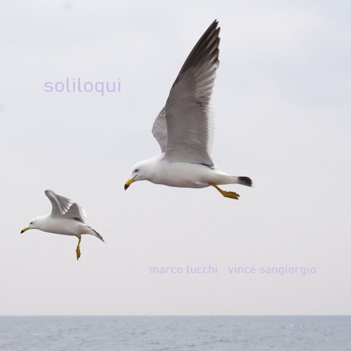 Marco Lucchi & Vince Sangiorgio - Soliloqui