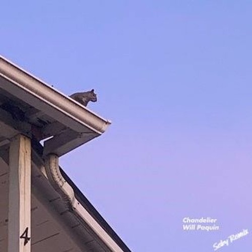 Will Paquin - Chandelier (Seby Instrumental Remix)