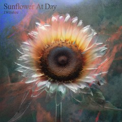 PREMIERE: J.Wiltshire - Sunflower At Day