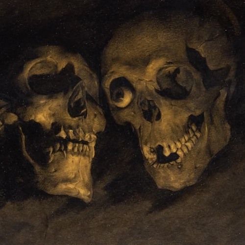 AFRAID OF NOTHING (prod. by Akira Gautama)