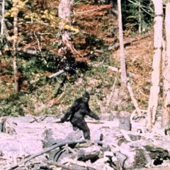 bigfoot