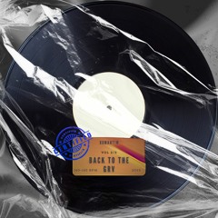 BACK TO THE GRV VOL 2/3 (VINYL ONLY)