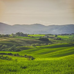 Binaural Dummy Head Field Recording Tuscany Session 25/4/2025