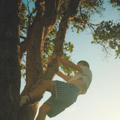 White Male Privilege