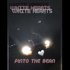 White Hearts - Pinto the Bean