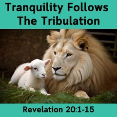 Tranquility Follows The Tribulation