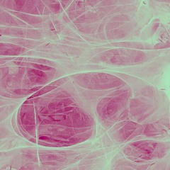 Xessy @ Cité Fertile