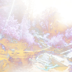 Flying Through The Sun