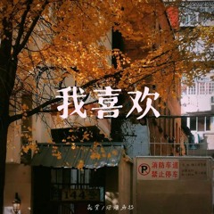 我喜欢 (伴奏)