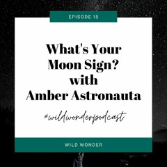 What Is A Moon Sign? Navigating the Inner Realm with Amber Astronauta