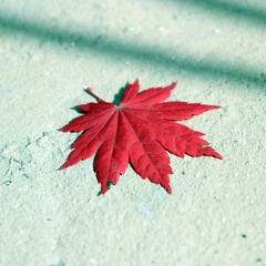 MapleStory - Login Theme (Lazzzi Remix)